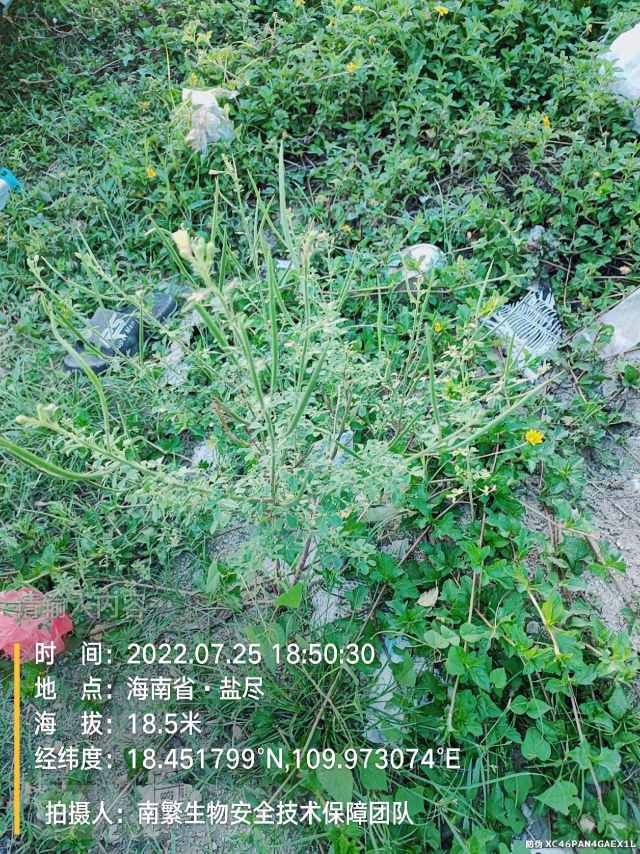 请输入内容…