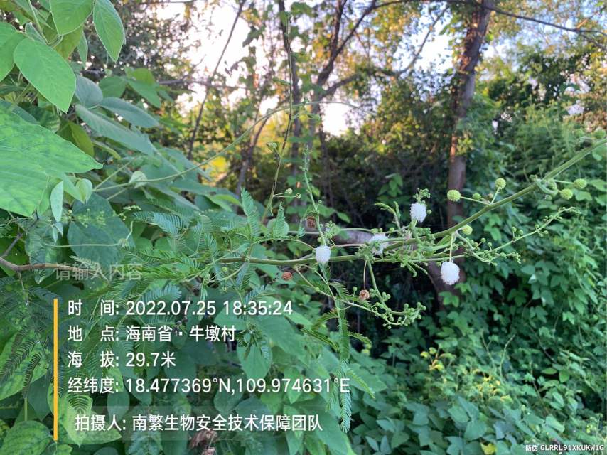 请输入内容…