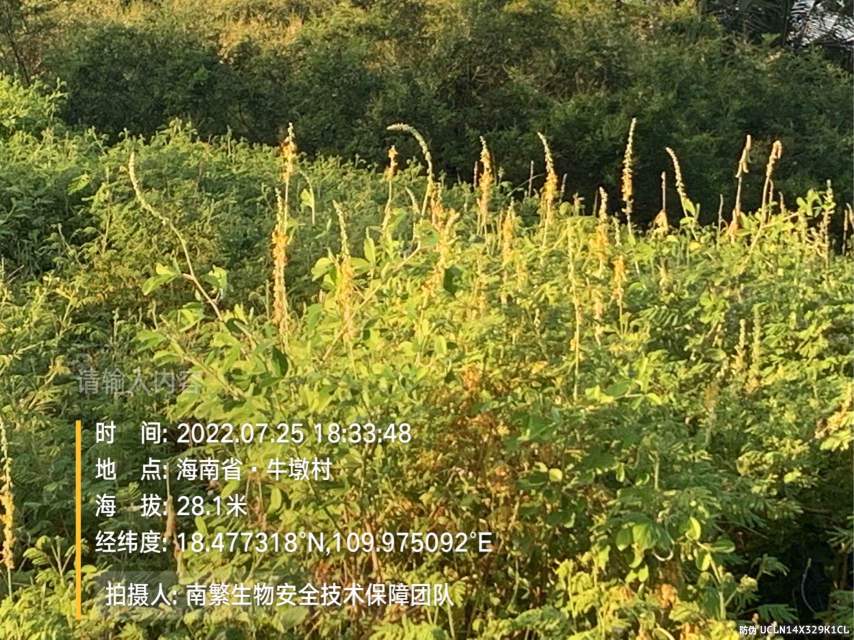 请输入内容…