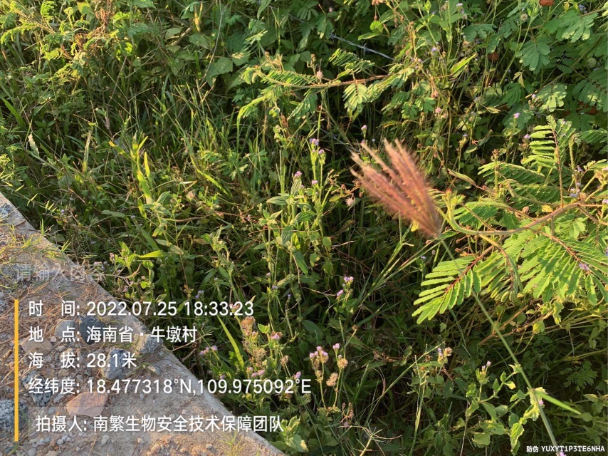 请输入内容…