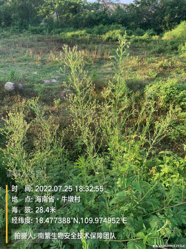 请输入内容…