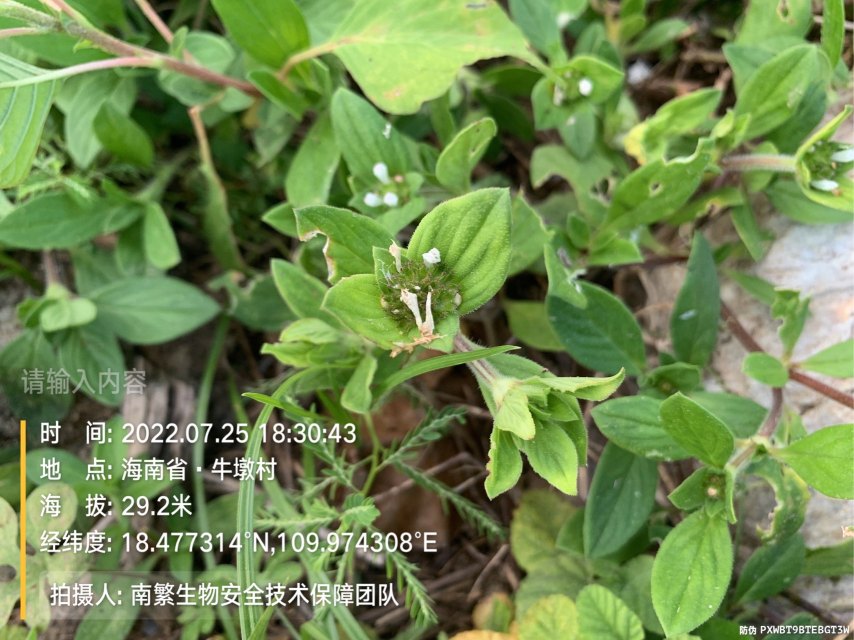 请输入内容…