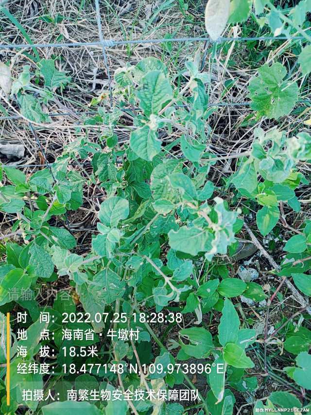 请输入内容…