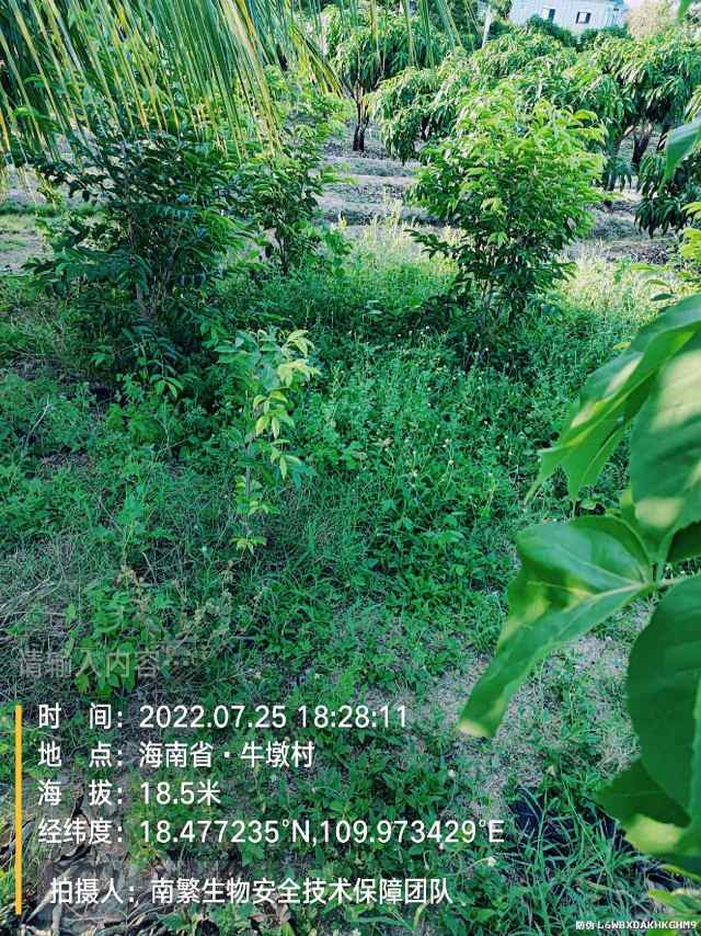 请输入内容…