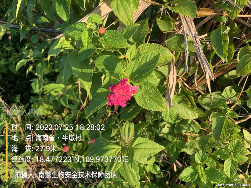 请输入内容…