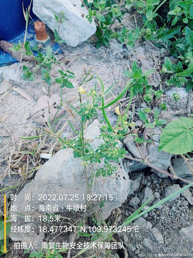 请输入内容…