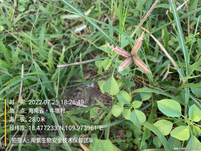 请输入内容…