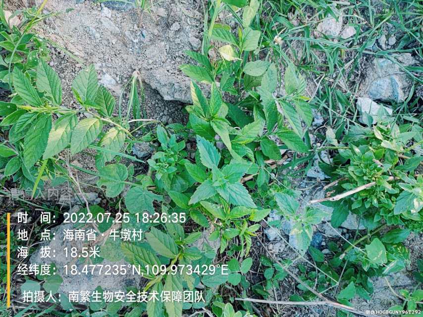 请输入内容…