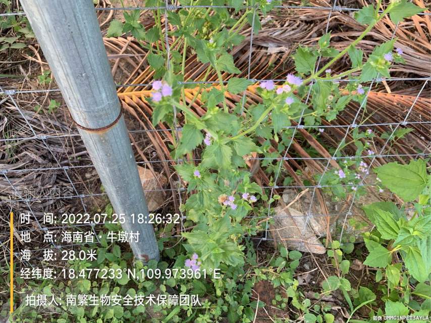 请输入内容…