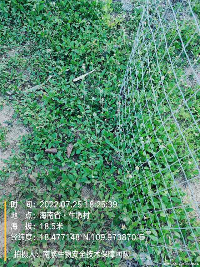 请输入内容…