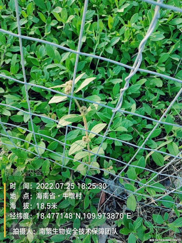 请输入内容…