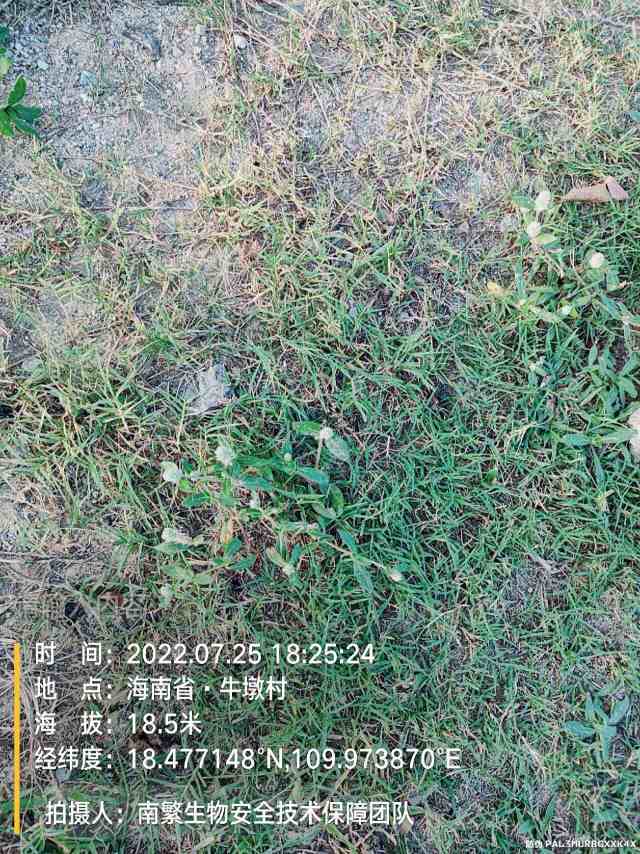 请输入内容…