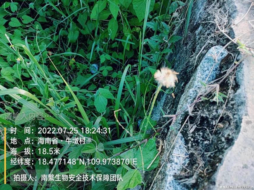 请输入内容…