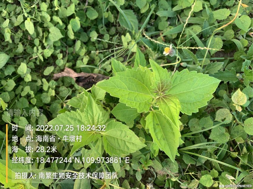 请输入内容…