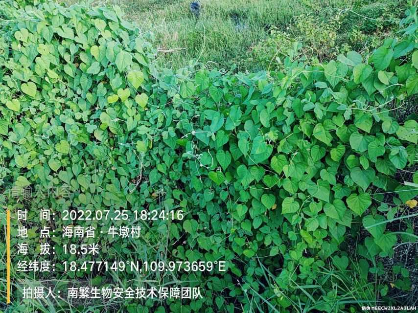 请输入内容…