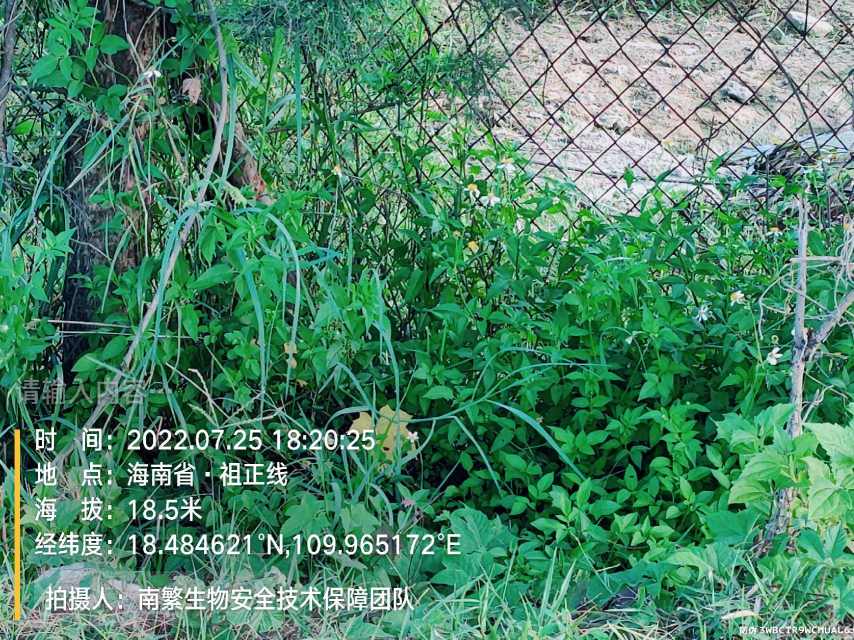 请输入内容…