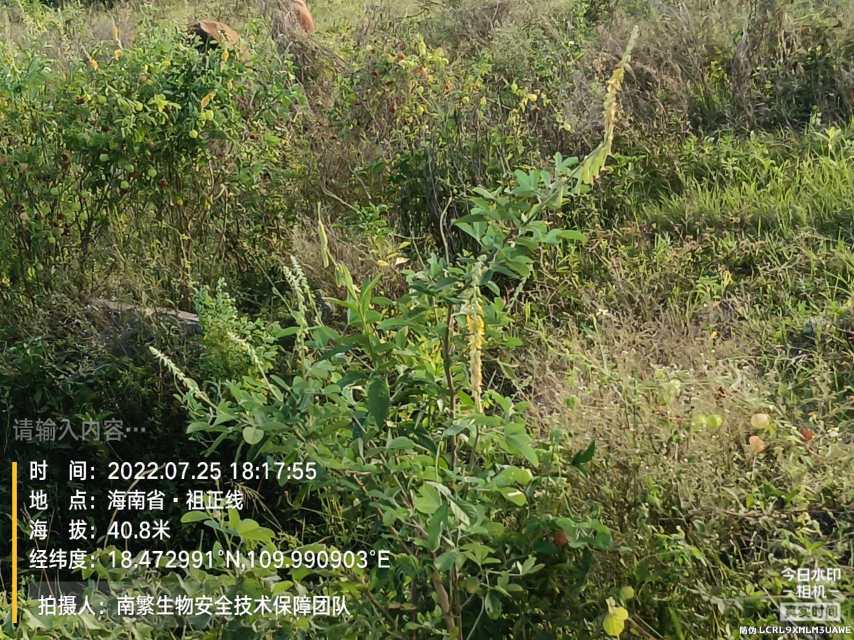 请输入内容…