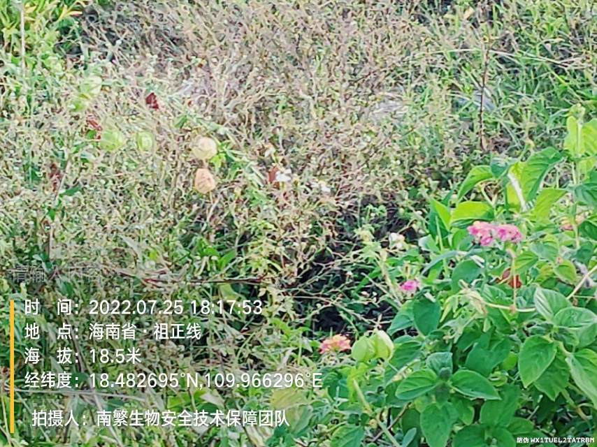 请输入内容…