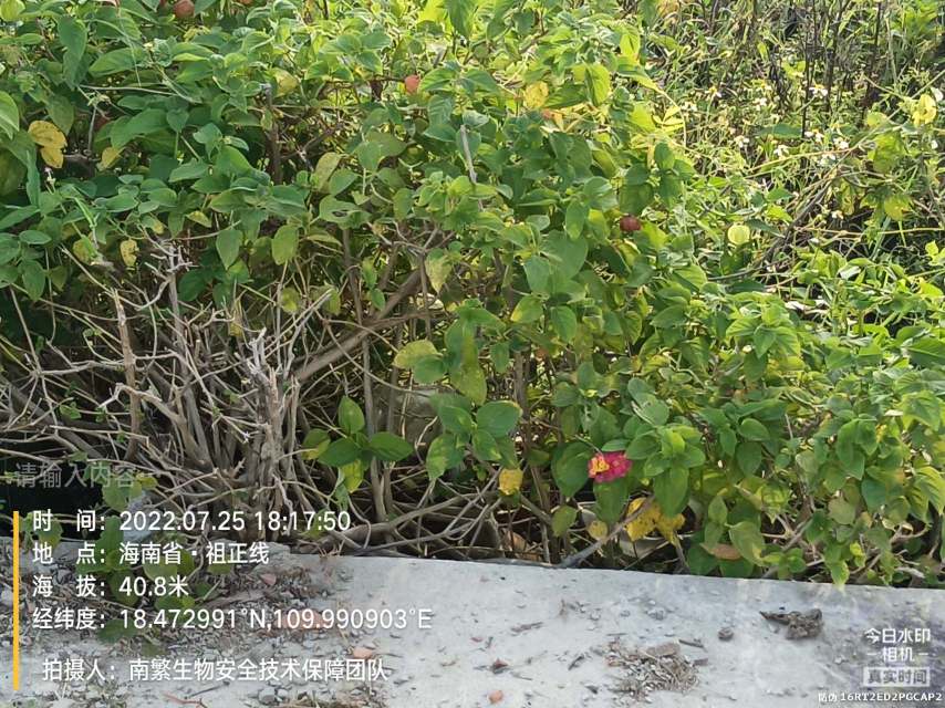 请输入内容…