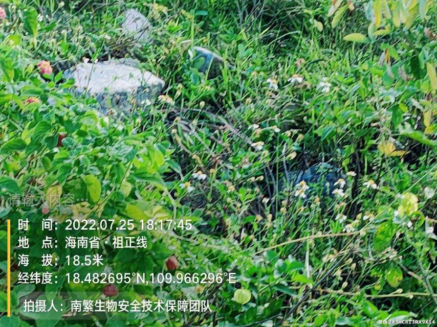 请输入内容…