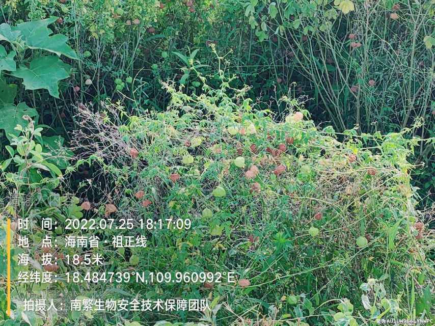 请输入内容…