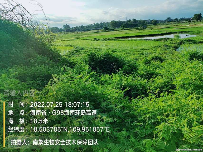 请输入内容…