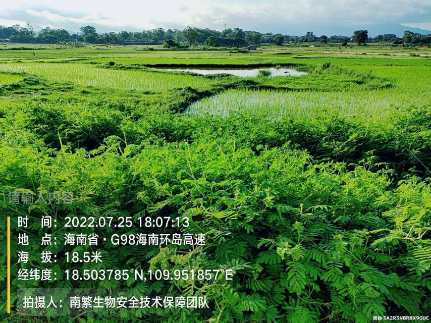 请输入内容…