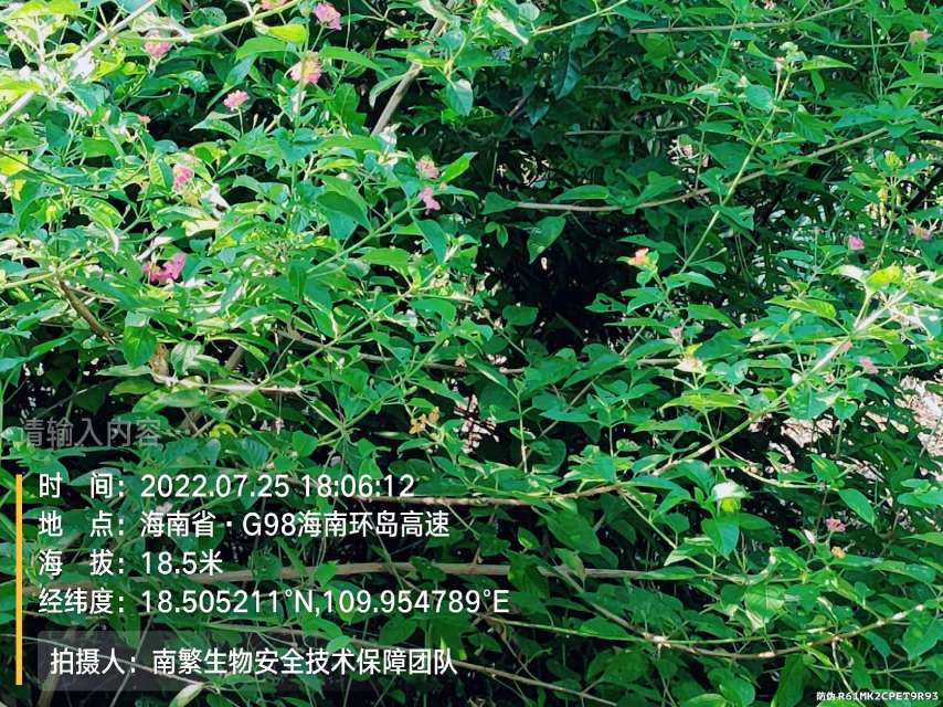 请输入内容…