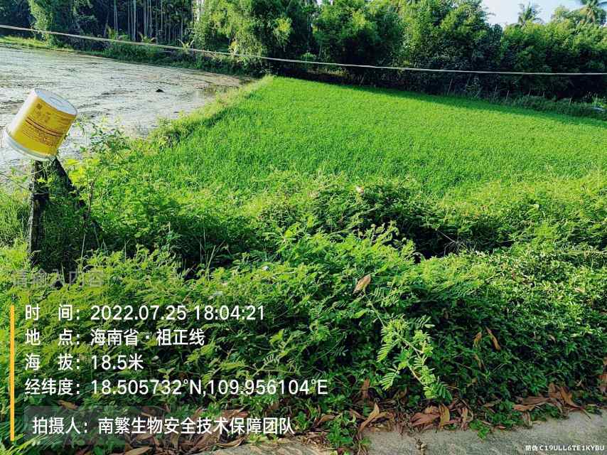 请输入内容…