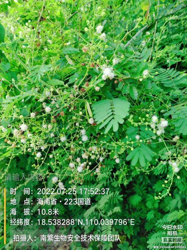 请输入内容…