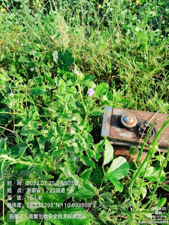 请输入内容…