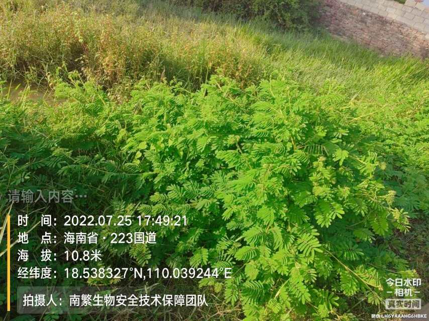 请输入内容…