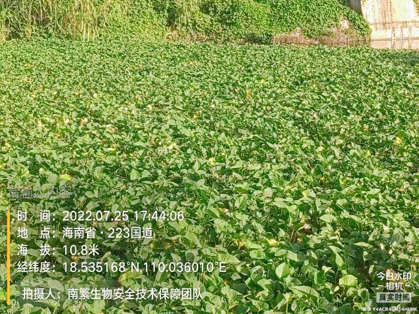 请输入内容…