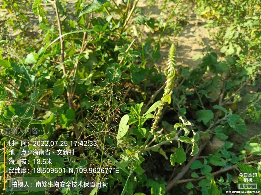 请输入内容…