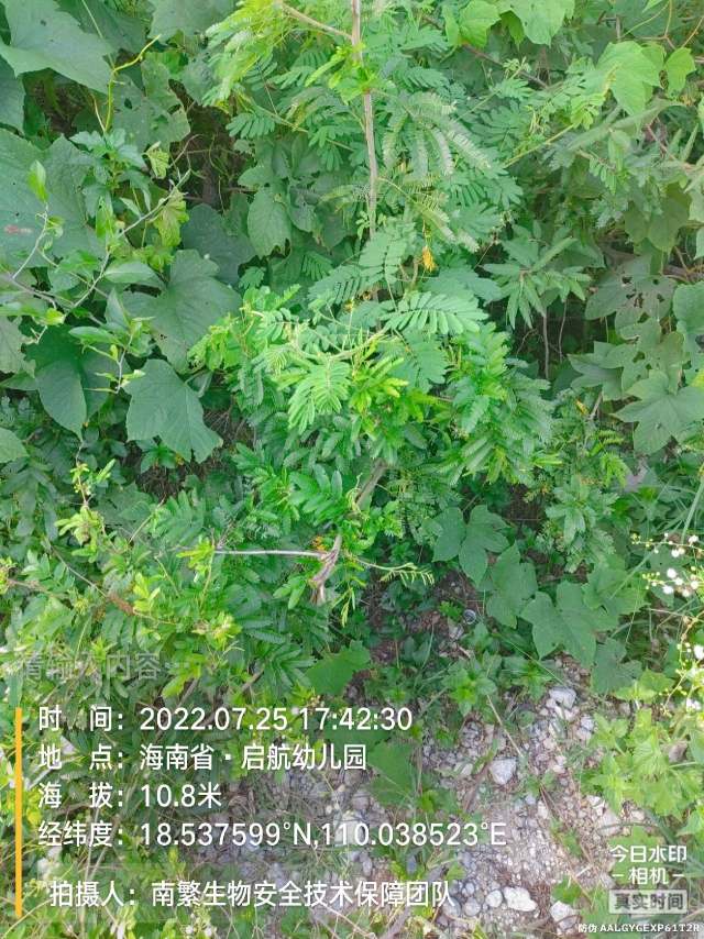 请输入内容…