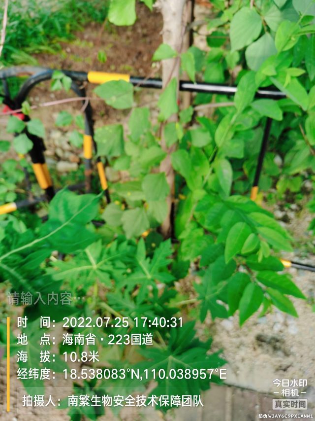 请输入内容…