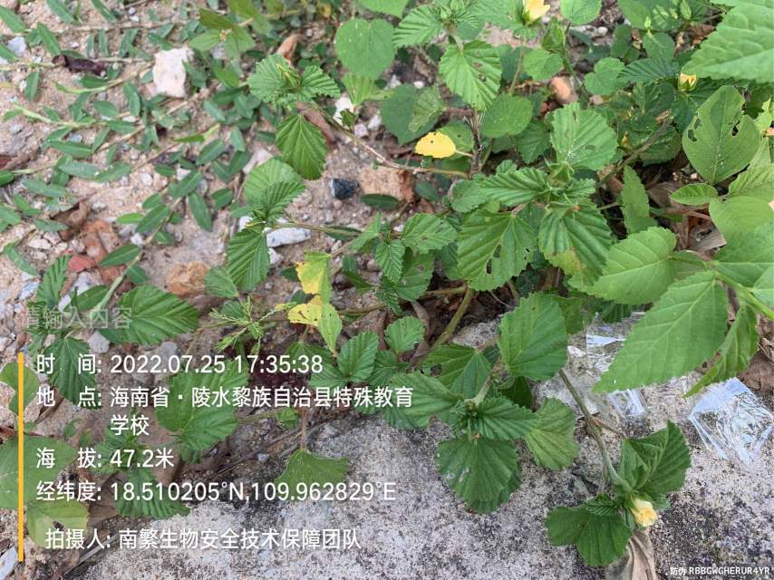 请输入内容…