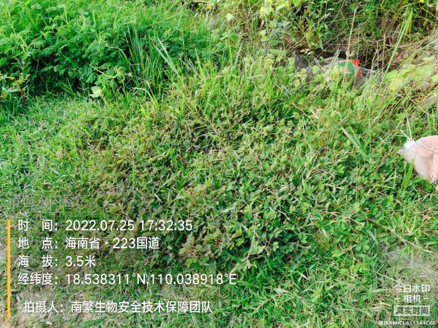 请输入内容…