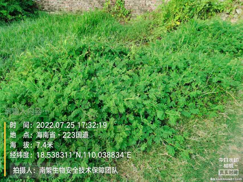 请输入内容…