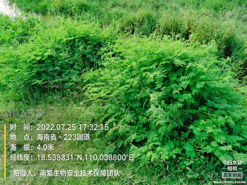请输入内容…
