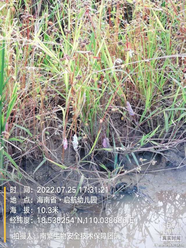 请输入内容…