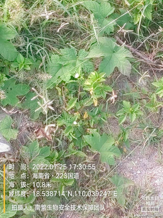 请输入内容…