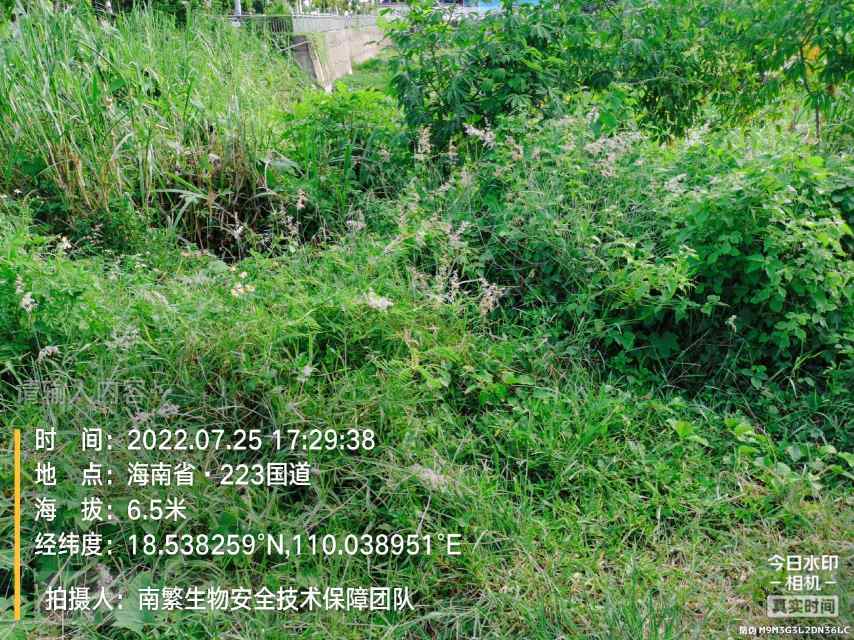 请输入内容…