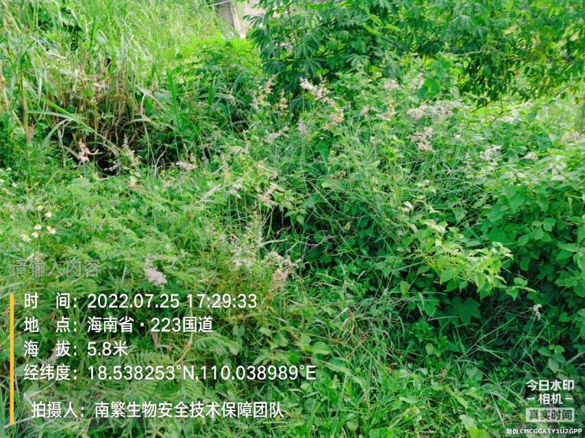 请输入内容…