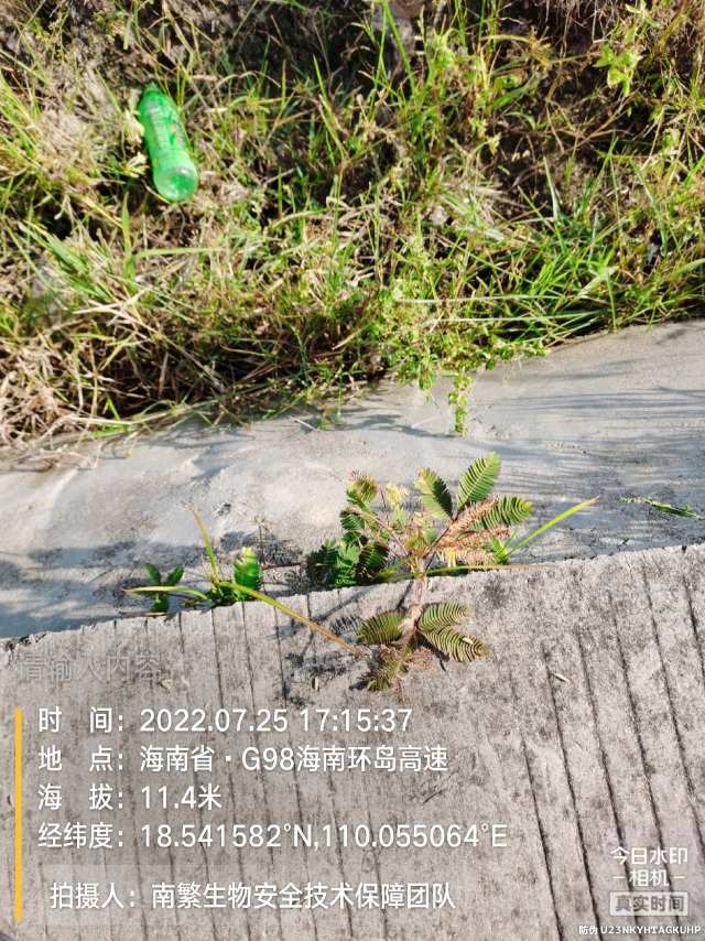 请输入内容…