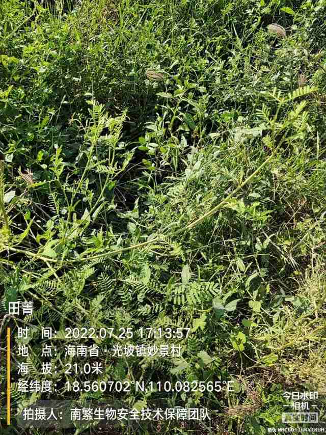 田菁