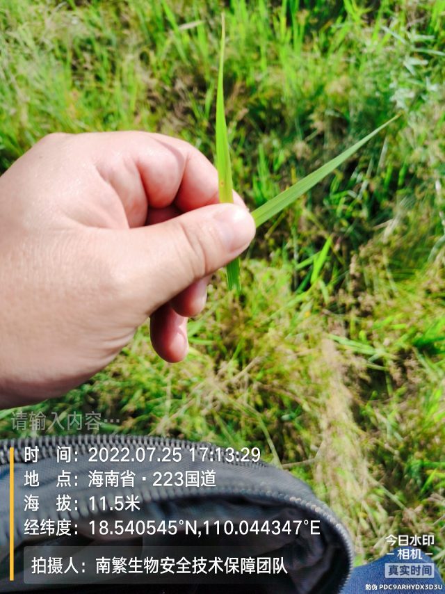 请输入内容…
