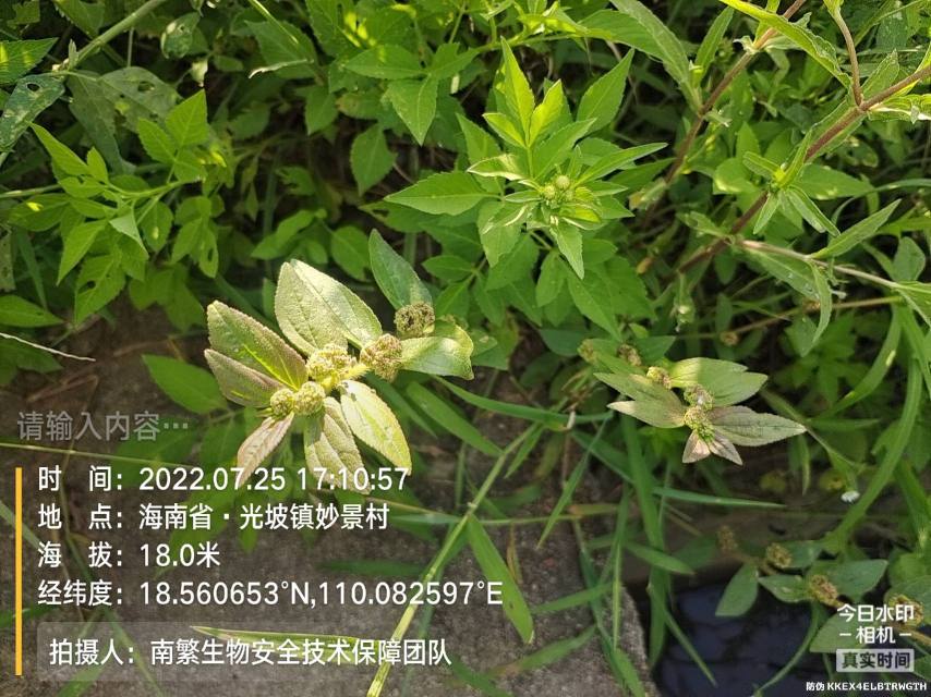 请输入内容…