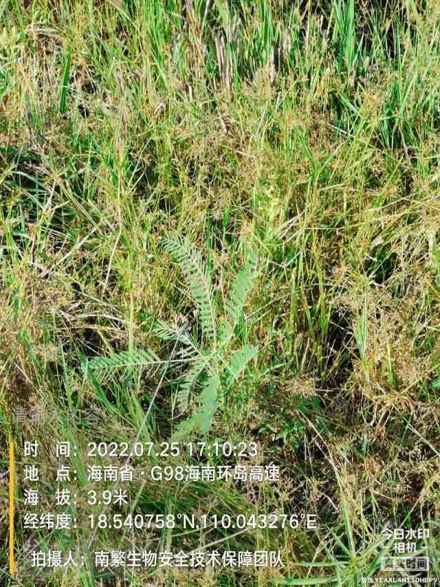 请输入内容…