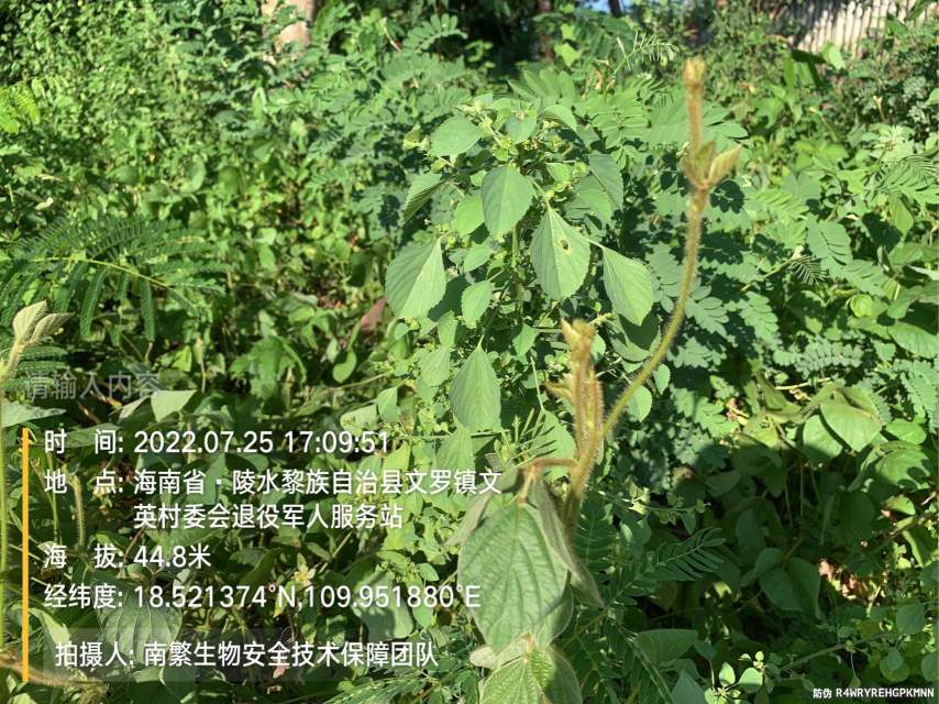 请输入内容…